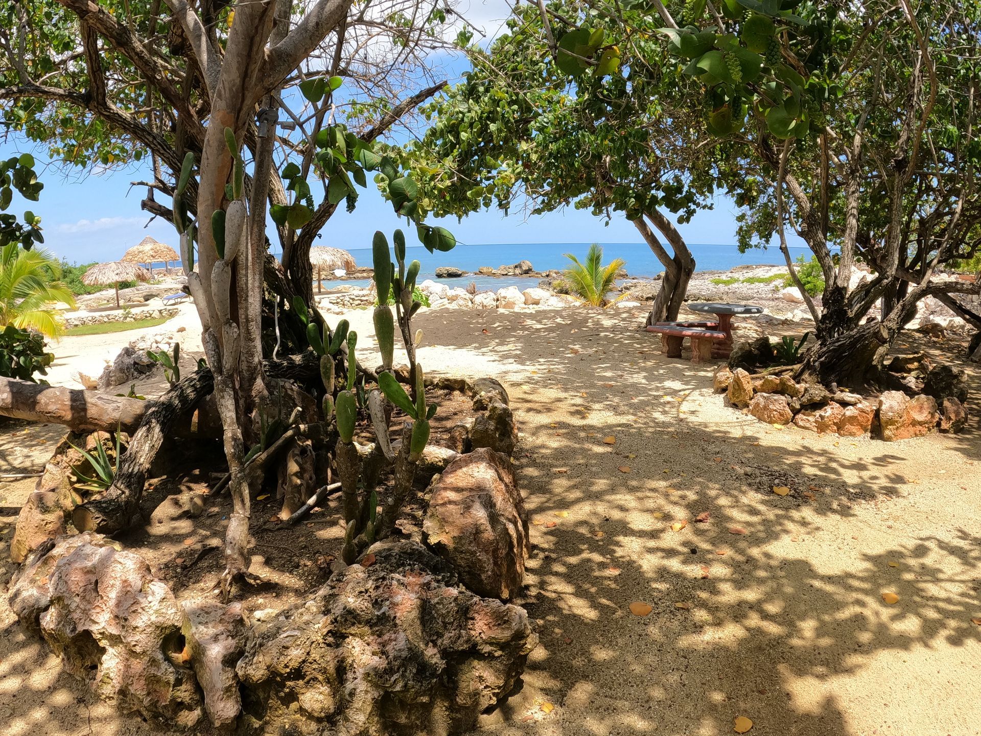 A shaded garden path leading to the cove