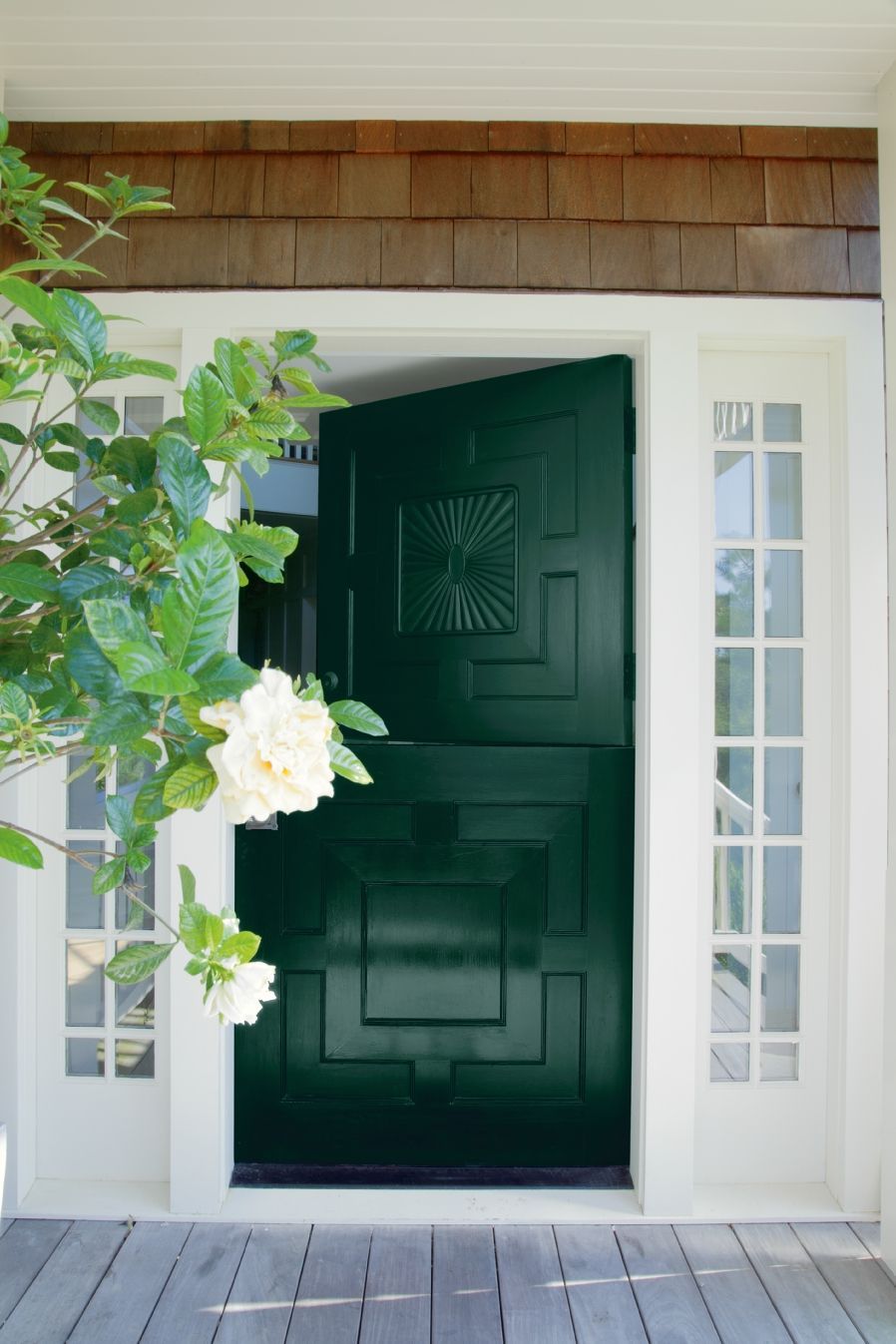 Exterior Paint on front door