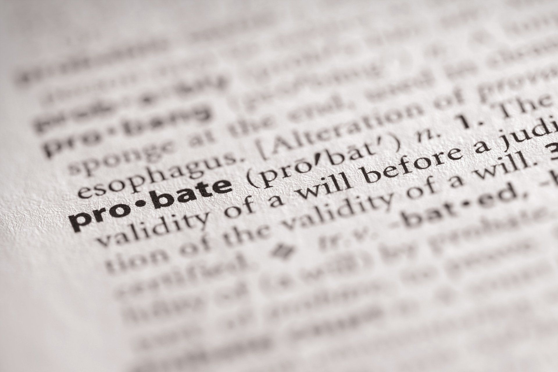 Probate Dictionary Definition — Davie, FL — Law Office of Vincent J. Owoc