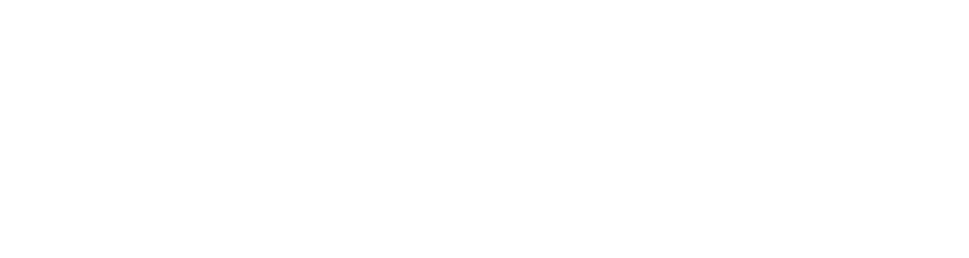 Mostly blank white image with a thin light-gray horizontal strip near the top.
