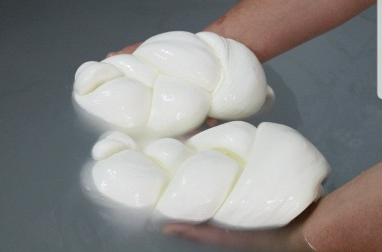 Mozzarella