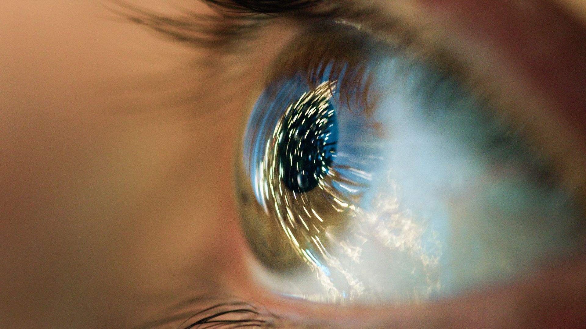 Close-up of a blue eye reflecting light, with eyelashes and skin in soft focus