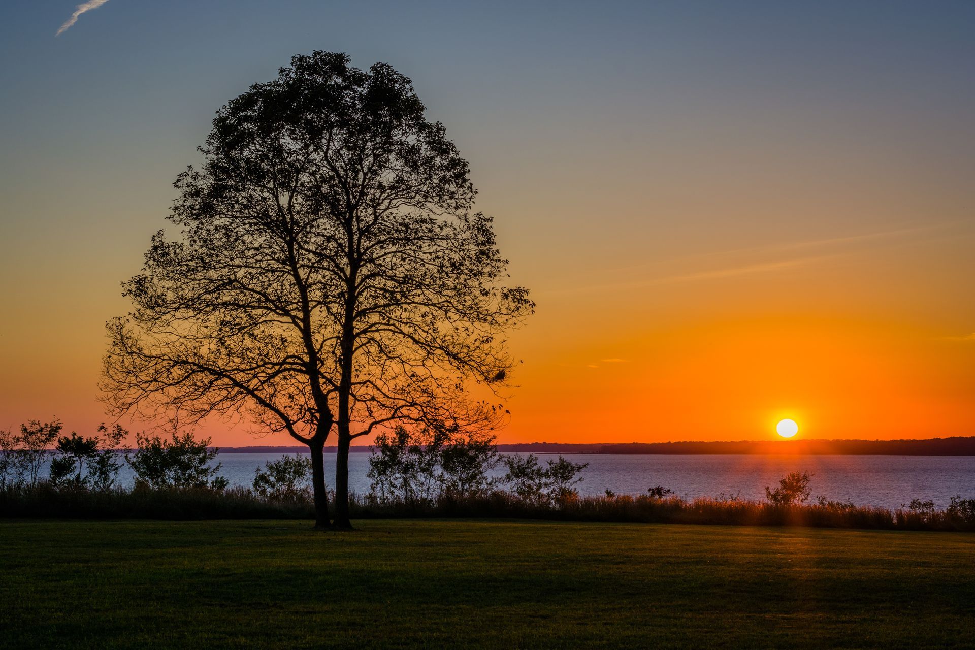 Sunset over a lake with a silhouetted tree and orange sky