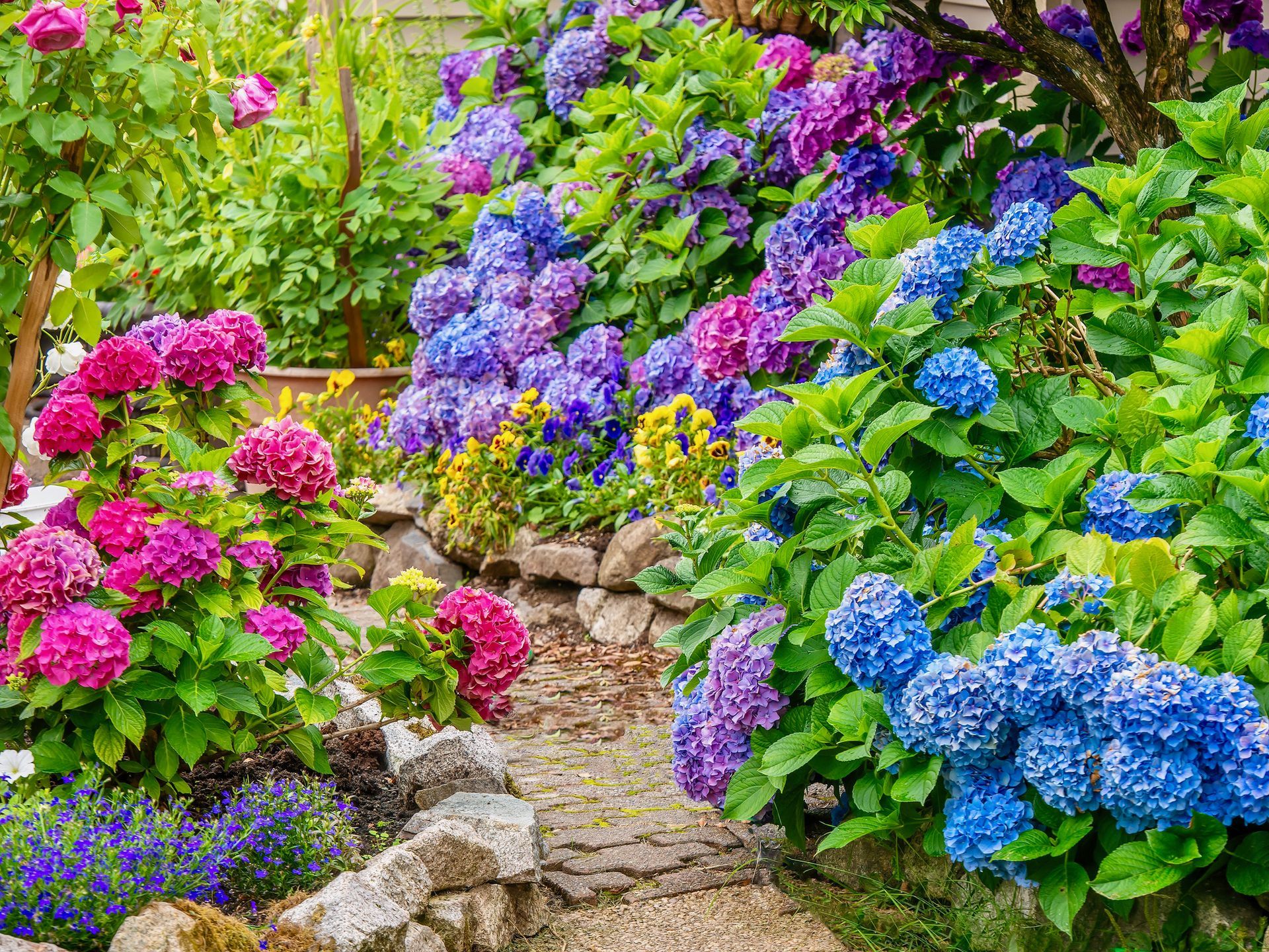 Garden and Flowers — New Lenox, IL — Nittany Lawn & Weed Solutions