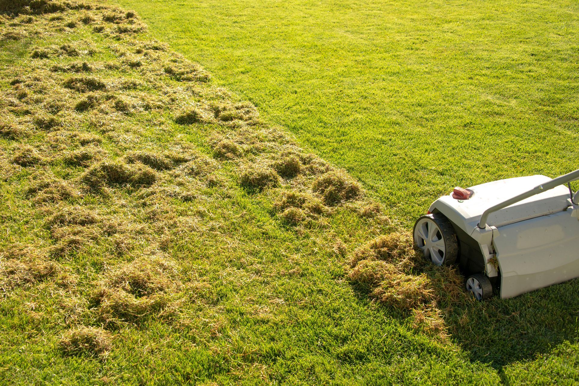 Lawn Scarifier — New Lenox, IL — Nittany Lawn & Weed Solutions