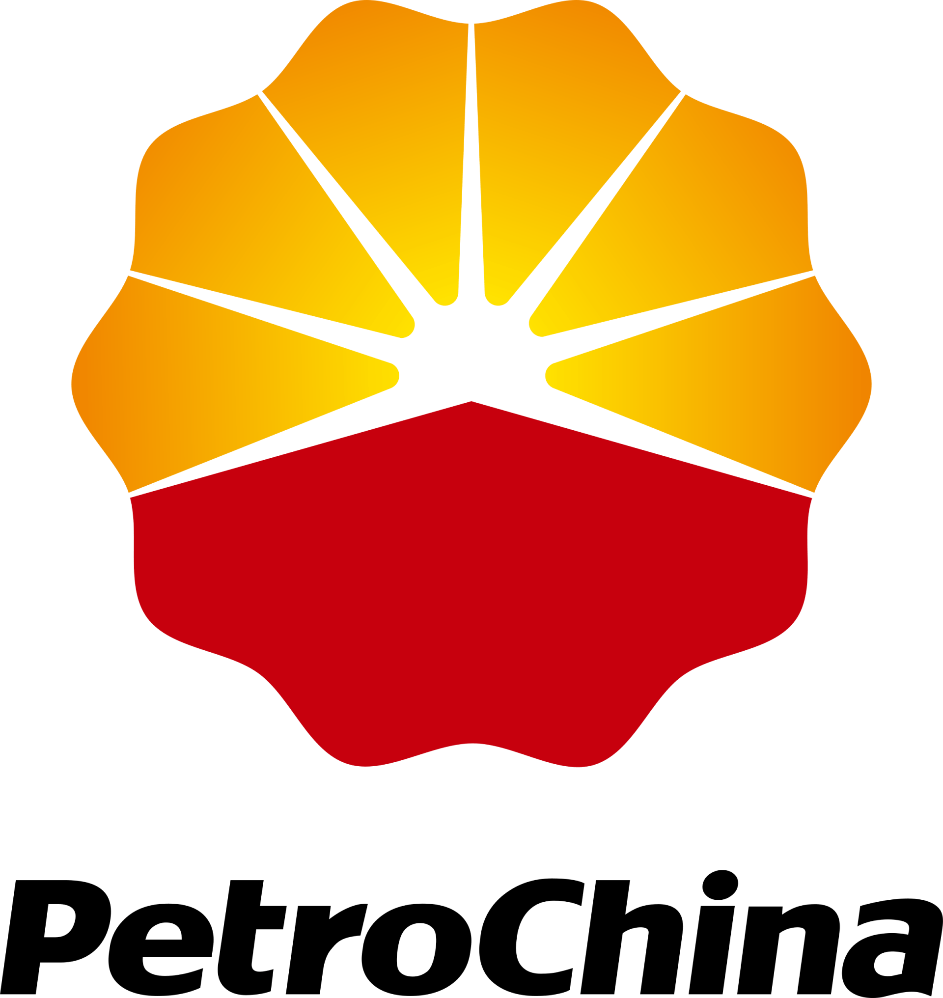 A logo for petrochina with a flower in the middle
