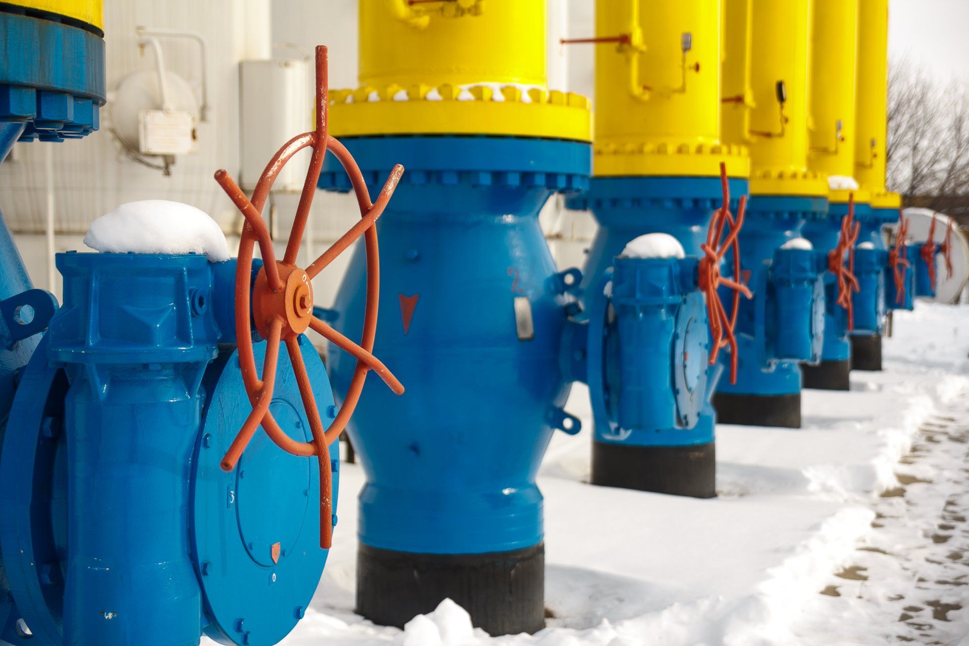 A row of blue and yellow pipes in the snow