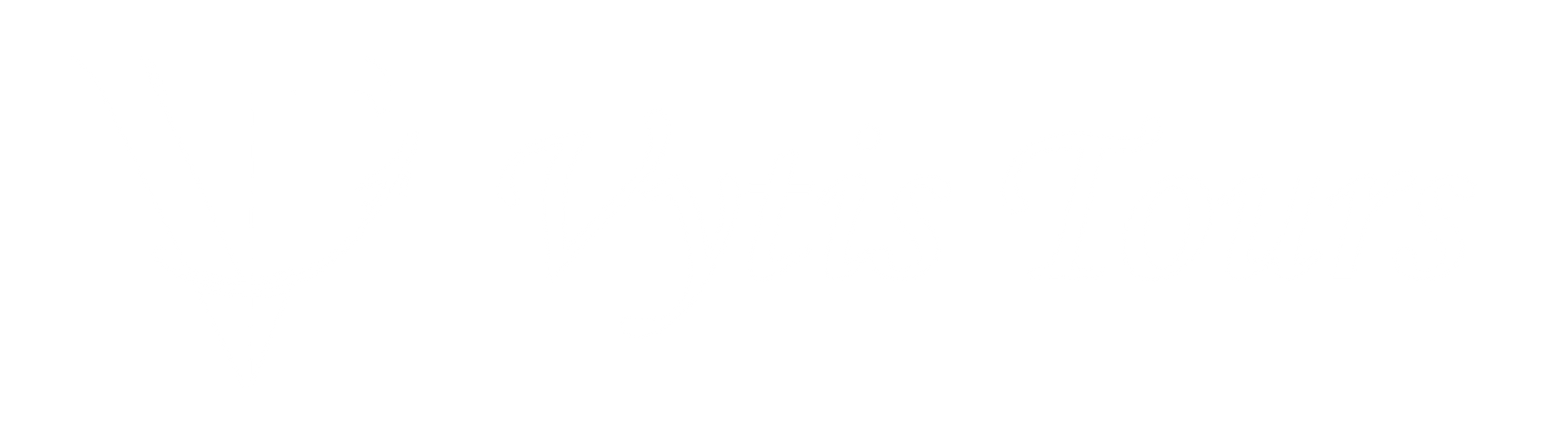 Vytis Tours logo