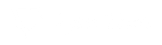 Vytis Tours logo