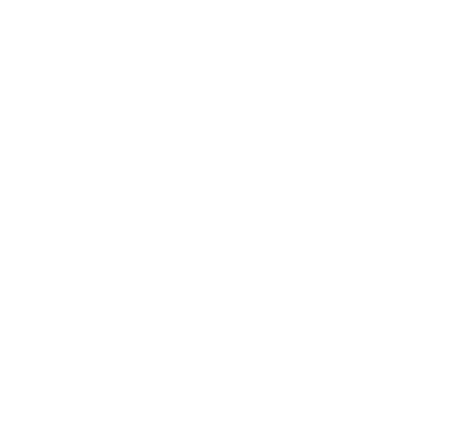 Vytis Tours icon
