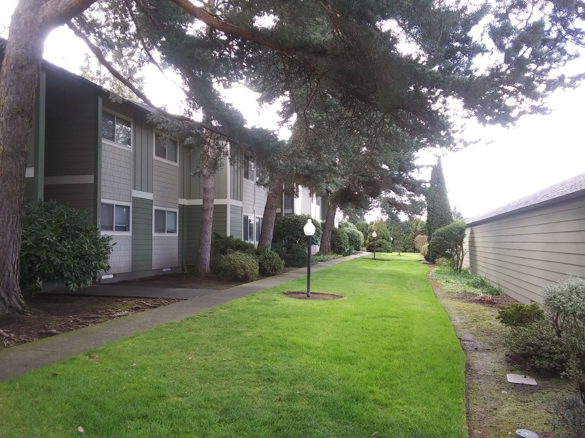 Apartment buildings beside a green lawn and sidewalk under large trees
