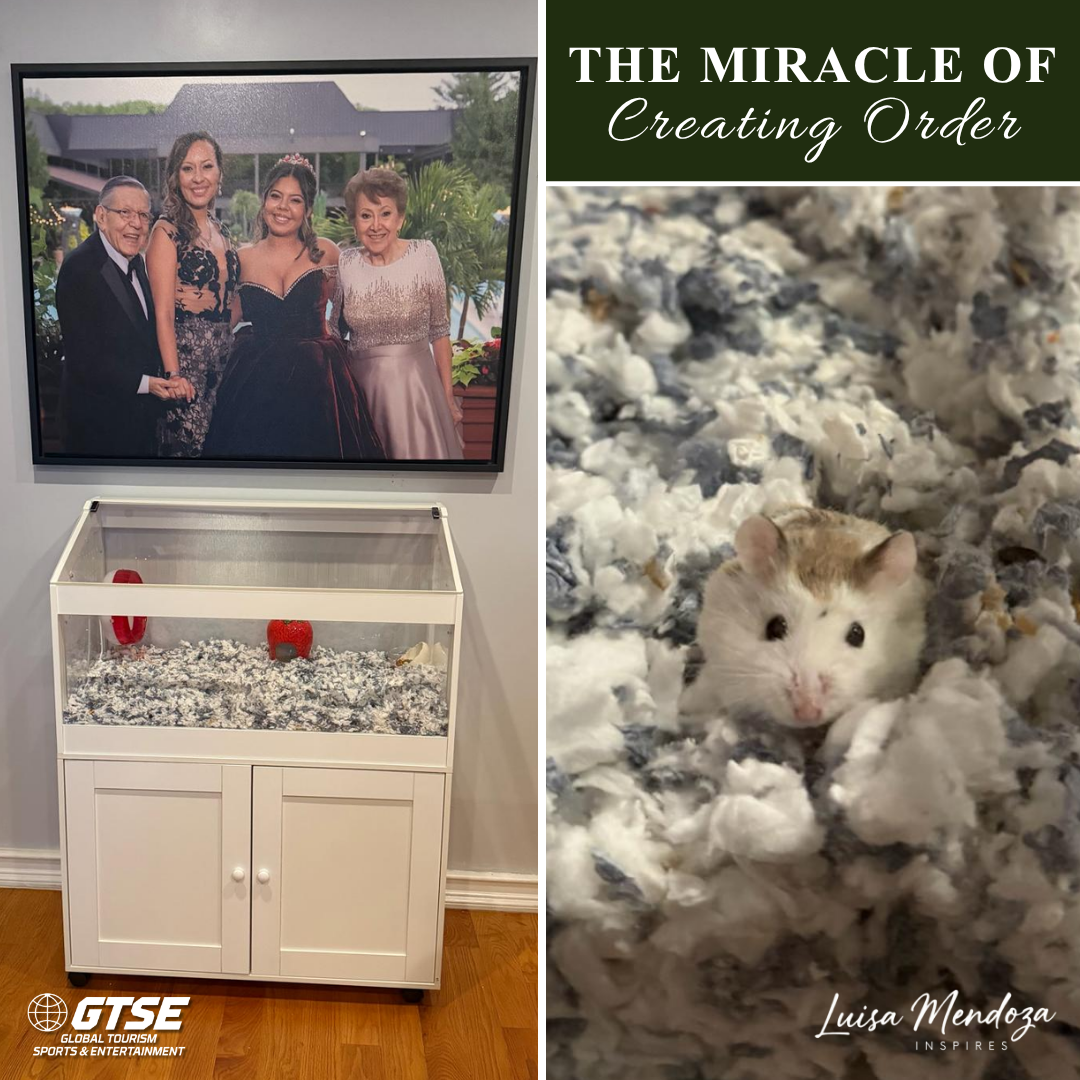 Hamster in fluffy bedding beside framed family photo and display cabinet; text reads “The Miracle of Creating Order”