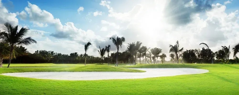 Sunny golf course with a sand bunker, green fairway, palm trees, and bright sky