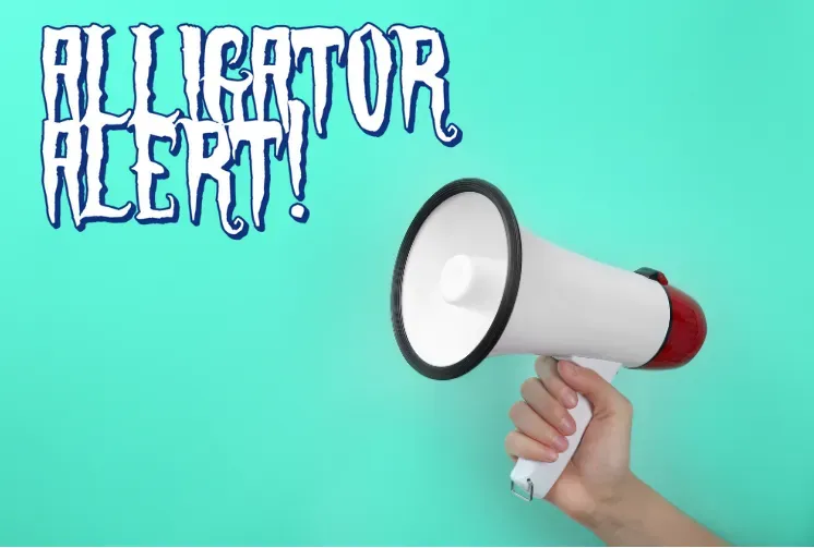 “ALLIGATOR ALERT!” text beside a hand holding a megaphone on a turquoise background