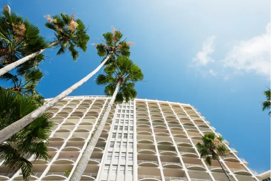 Tall white hotel tower framed by palm trees against a bright blue sky