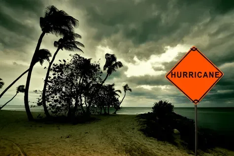 Orange hurricane warning sign beside bent palm trees in a stormy coastal landscape