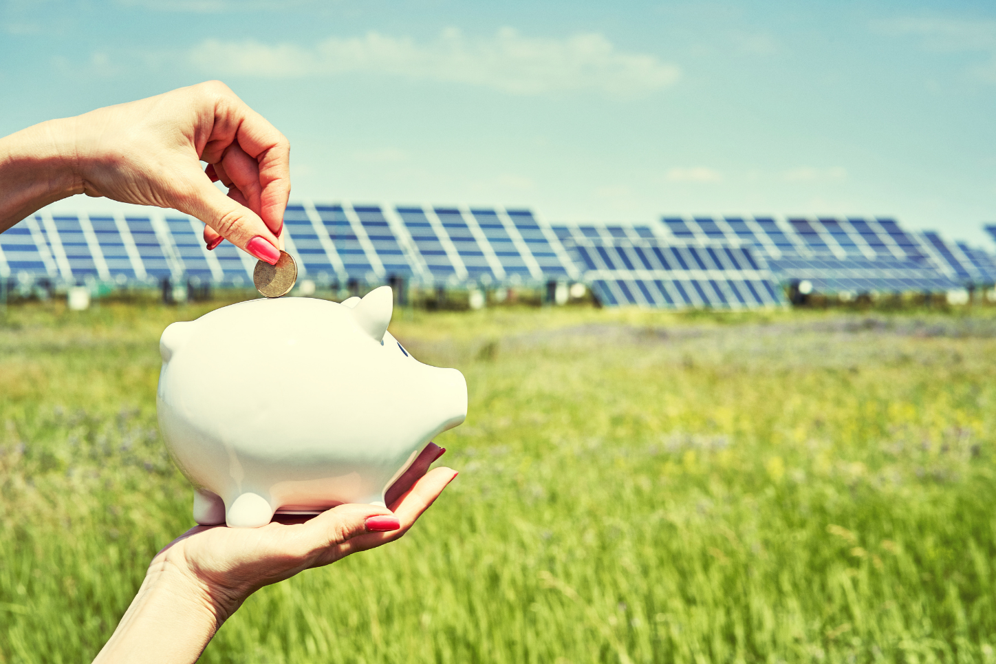 Hands holding a white piggy bank in a grassy field with solar panels in the background