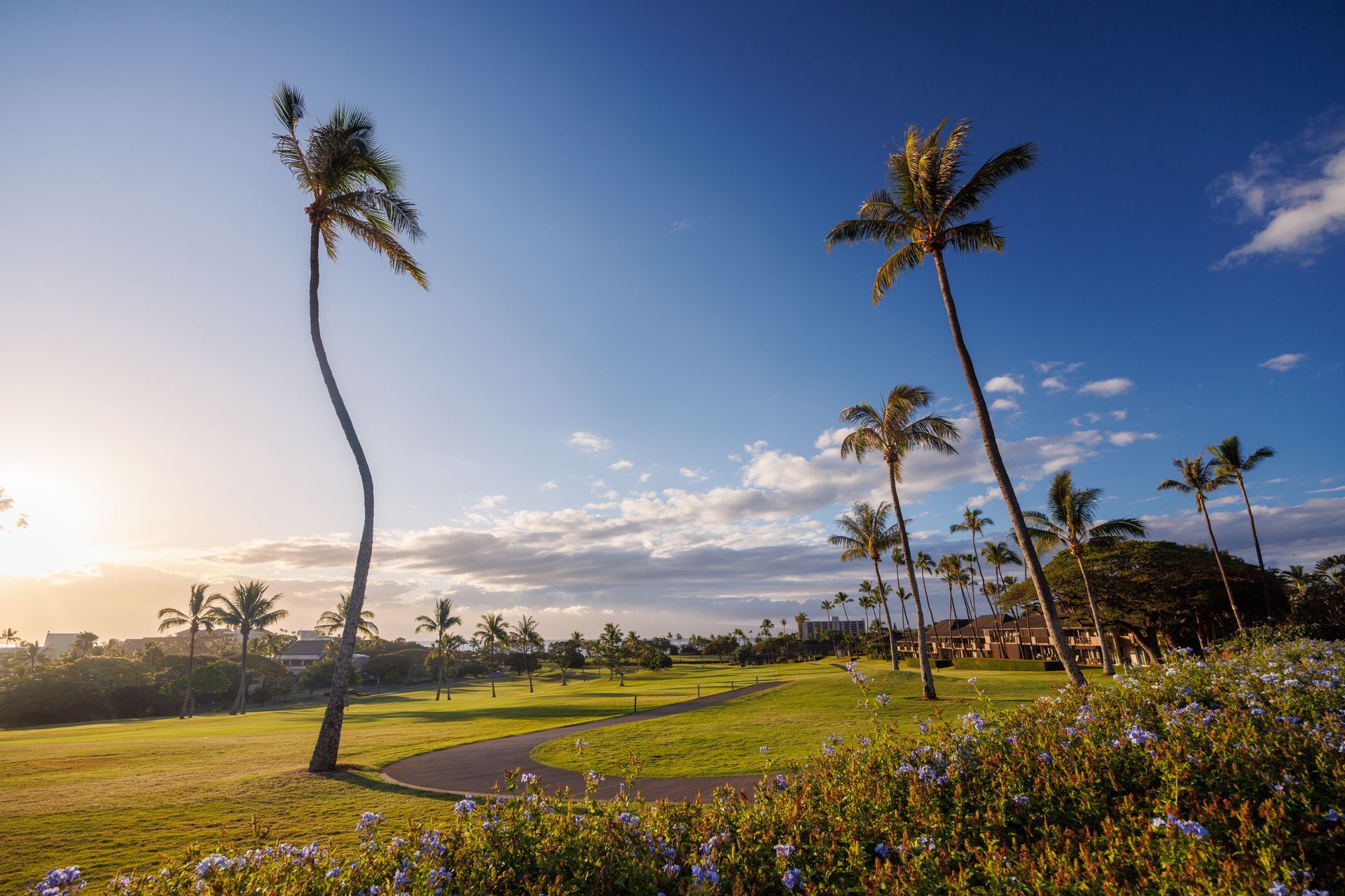 Sunlit tropical field with tall palm trees, wildflowers, and a bright blue sky at sunset