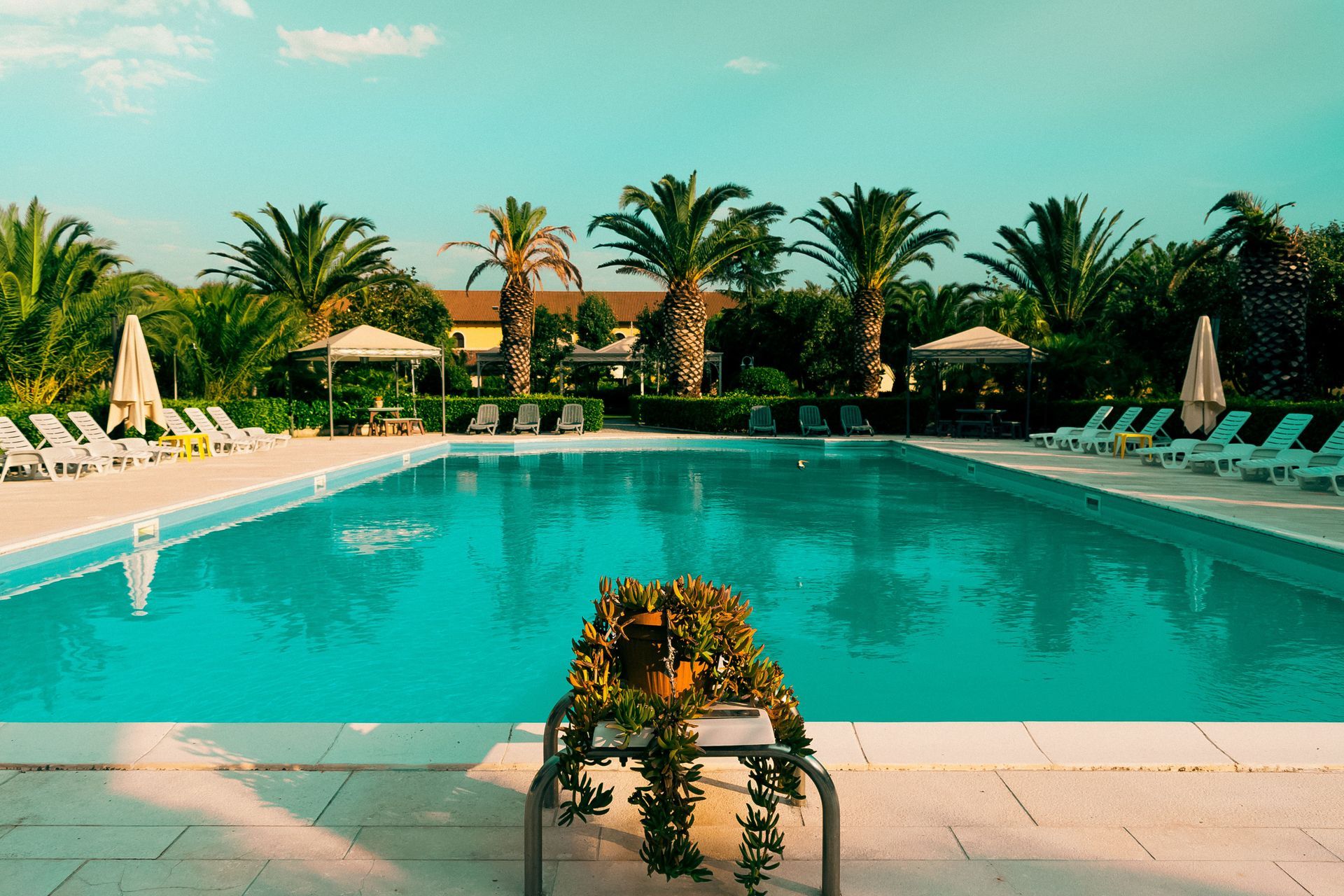 Turquoise resort pool with lounge chairs, palm trees, and sunny tropical landscaping.
