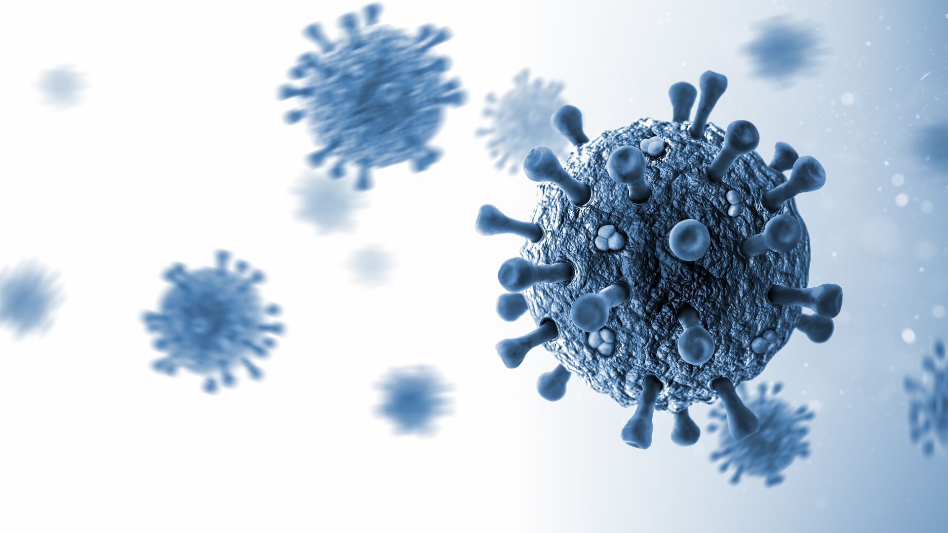 Blue coronavirus-like particles floating on a white background