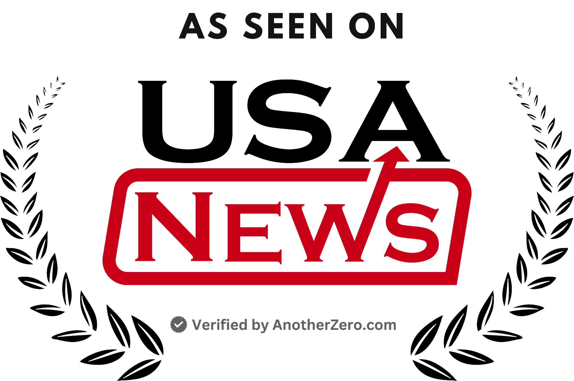USA News Logo