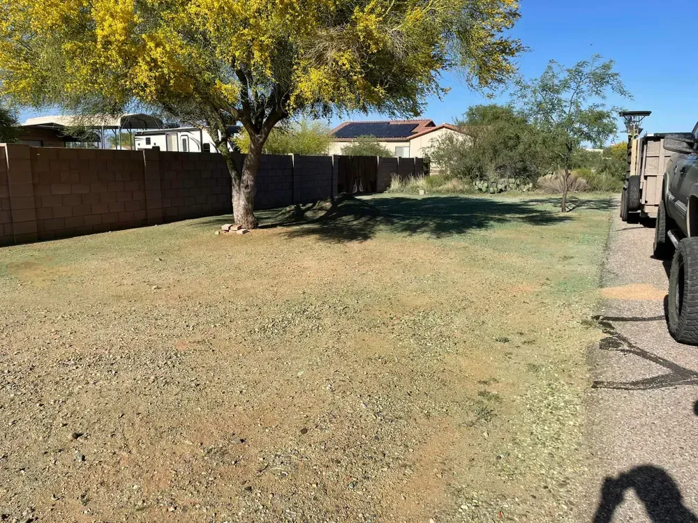 Grassy backyard with a tree and a brown fence on a sunny day. A vehicle is parked on the side.