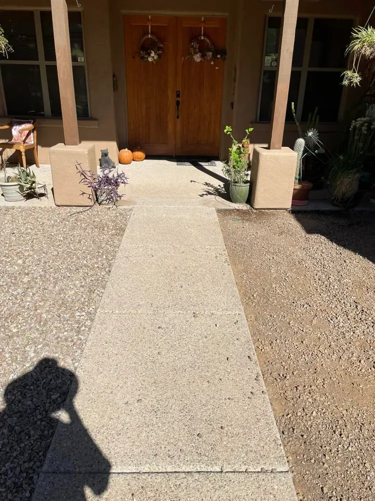 Concrete walkway leading to wooden double doors of a house. Cardboard boxes flank the path.