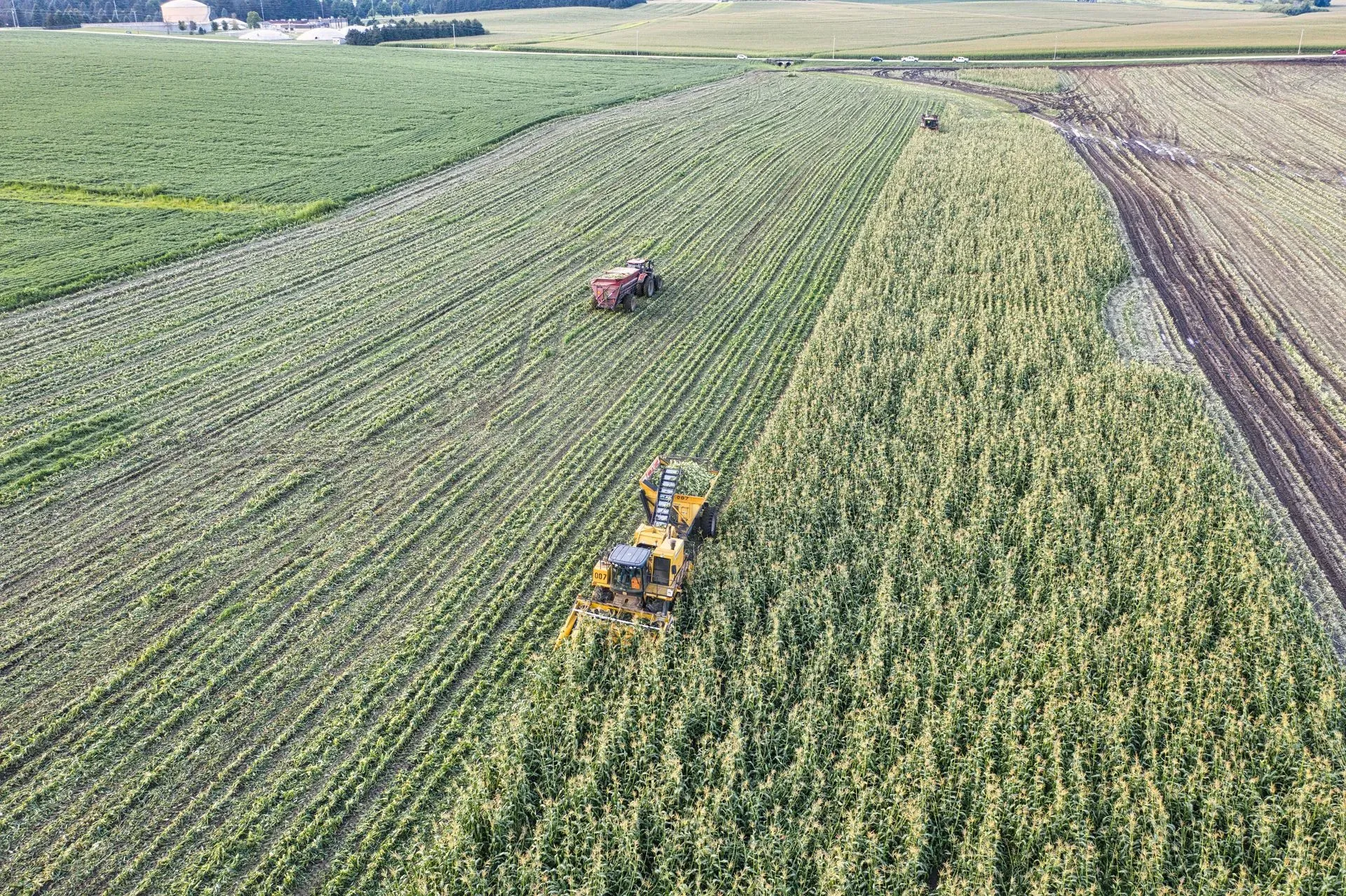 Tractors working rows of a large green field from above