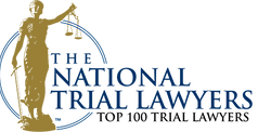The National Trial Lawyer