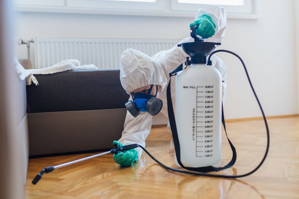 A Person In A Protective Suit Is Spraying A Room With A Sprayer — AC Pest In South Lismore, NSW