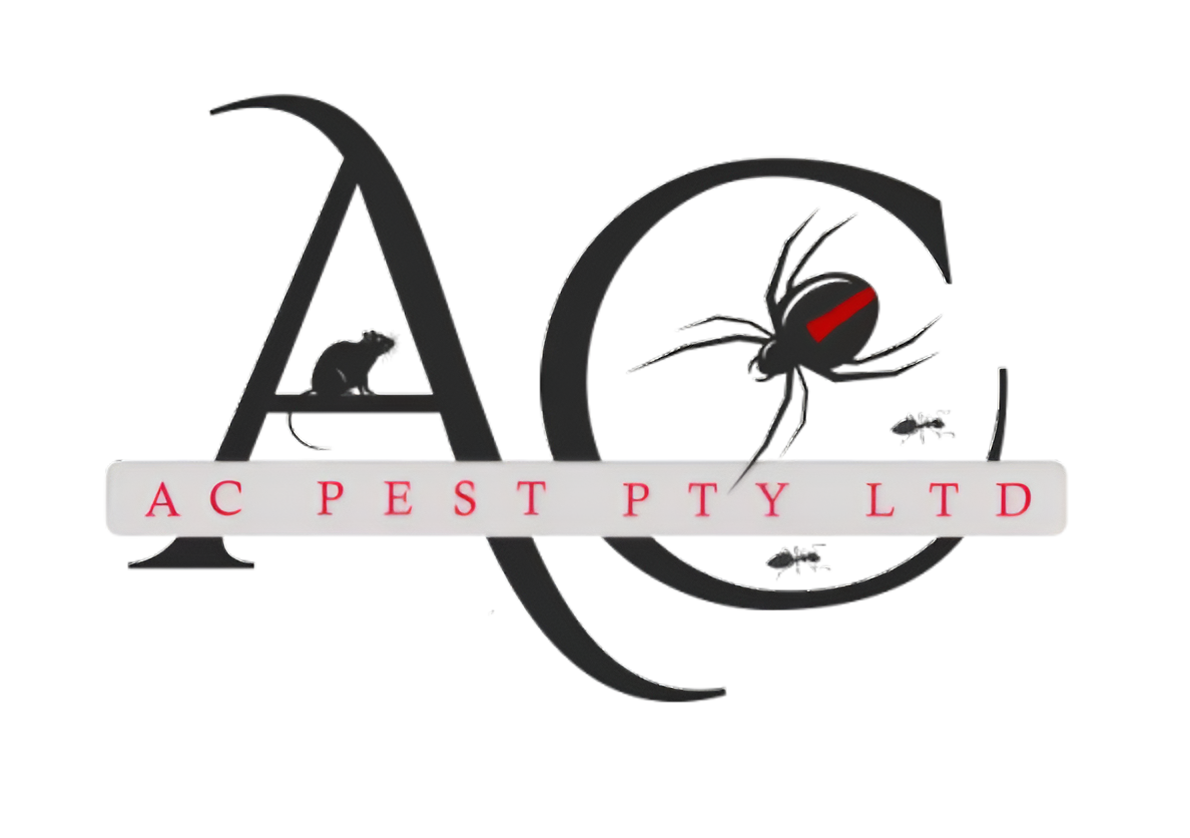 Pest Control Services In The Northern Rivers Pest Control Services In The Northern Rivers
