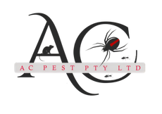 Pest Control Services In The Northern Rivers Pest Control Services In The Northern Rivers