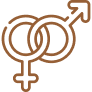 HORMÔNIOS Um desenho de linha marrom de um símbolo masculino e feminino.