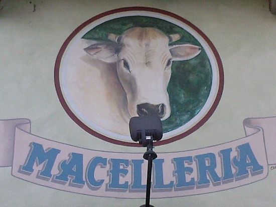 Vetrina della macelleria e salumeria