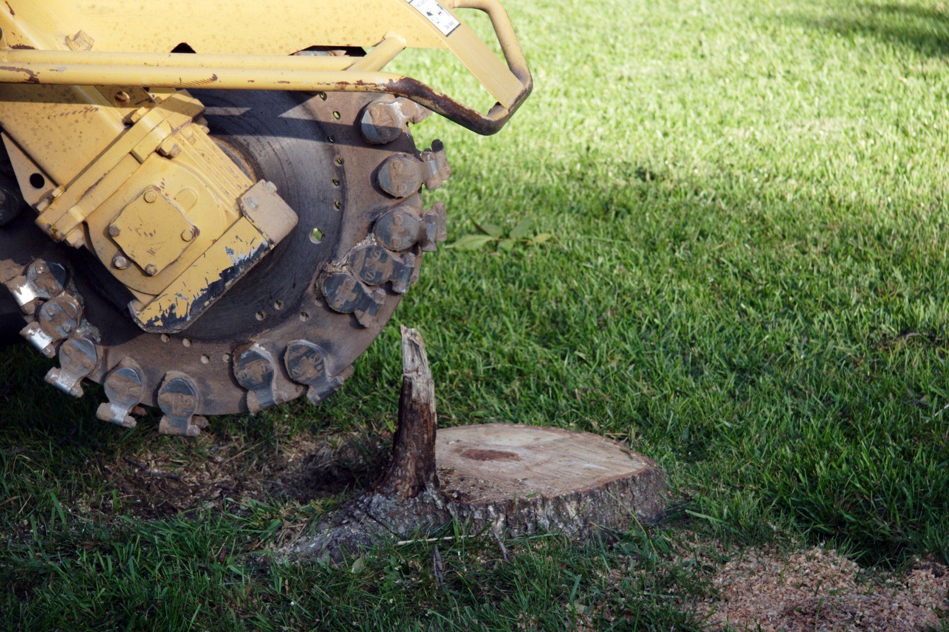 Stump Removal — Anaheim, CA — Dels Tree Experts