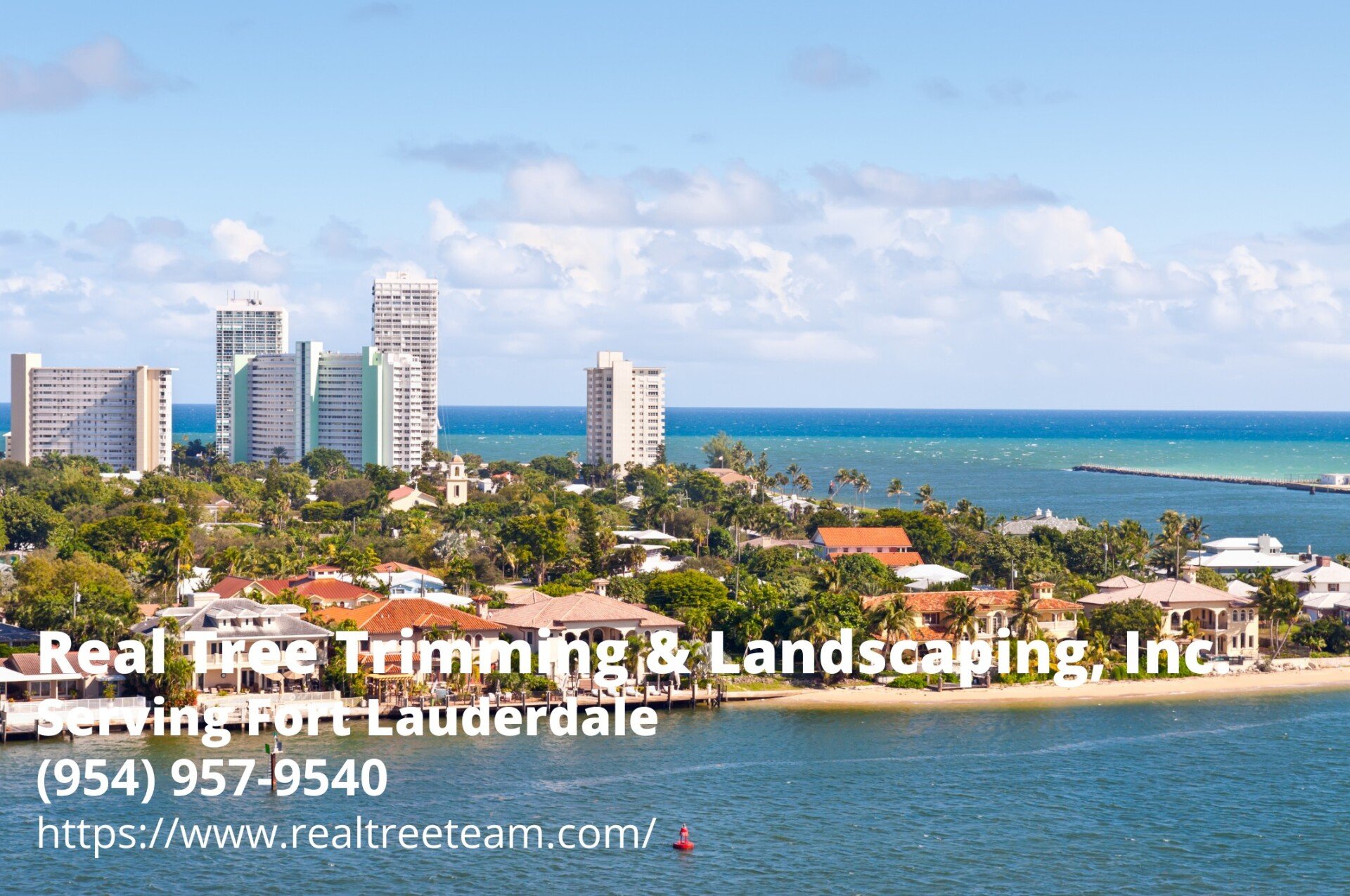 Tree Service Fort Lauderdale FL | Qualified Tree Care