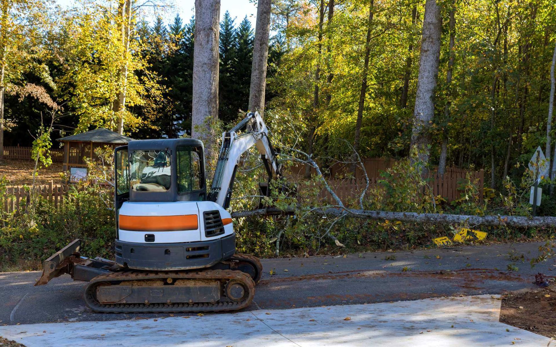 Dealing with Fallen Trees: Quick and Safe Immediate Removal
