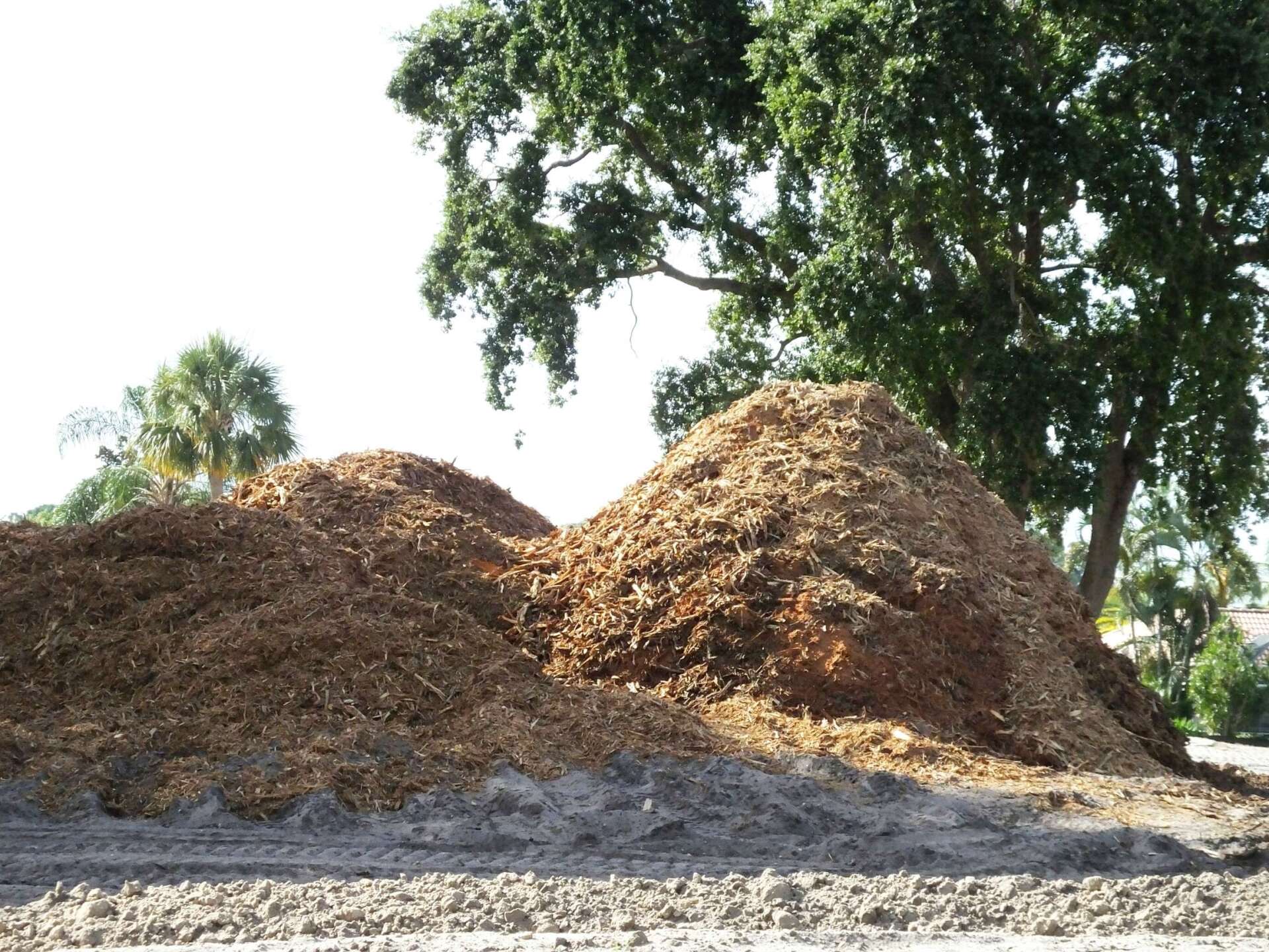 Free Mulch, Wood Chips, and Firewood Delivered to You