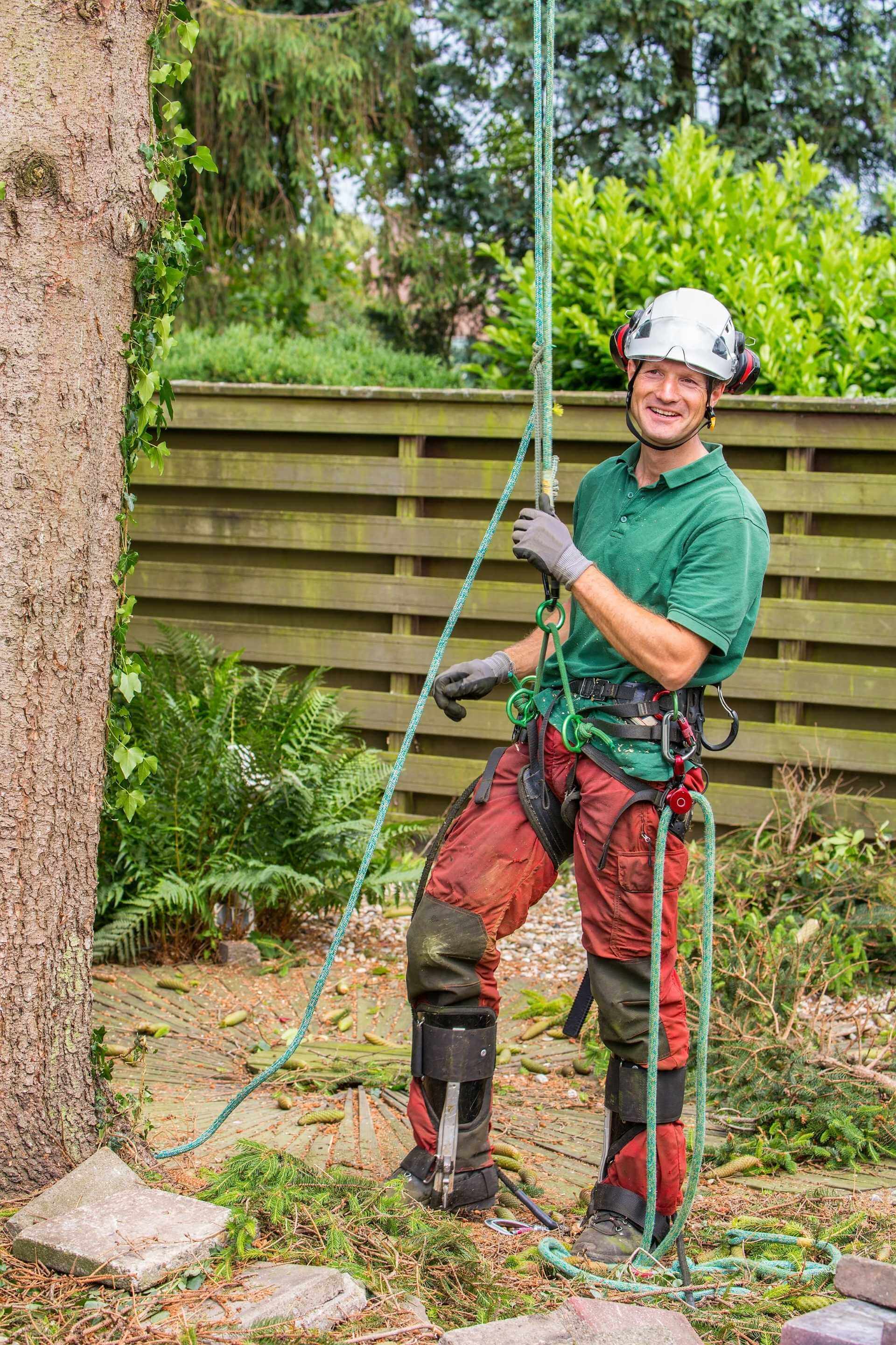 isa arborist in south florida about to climnb a tree