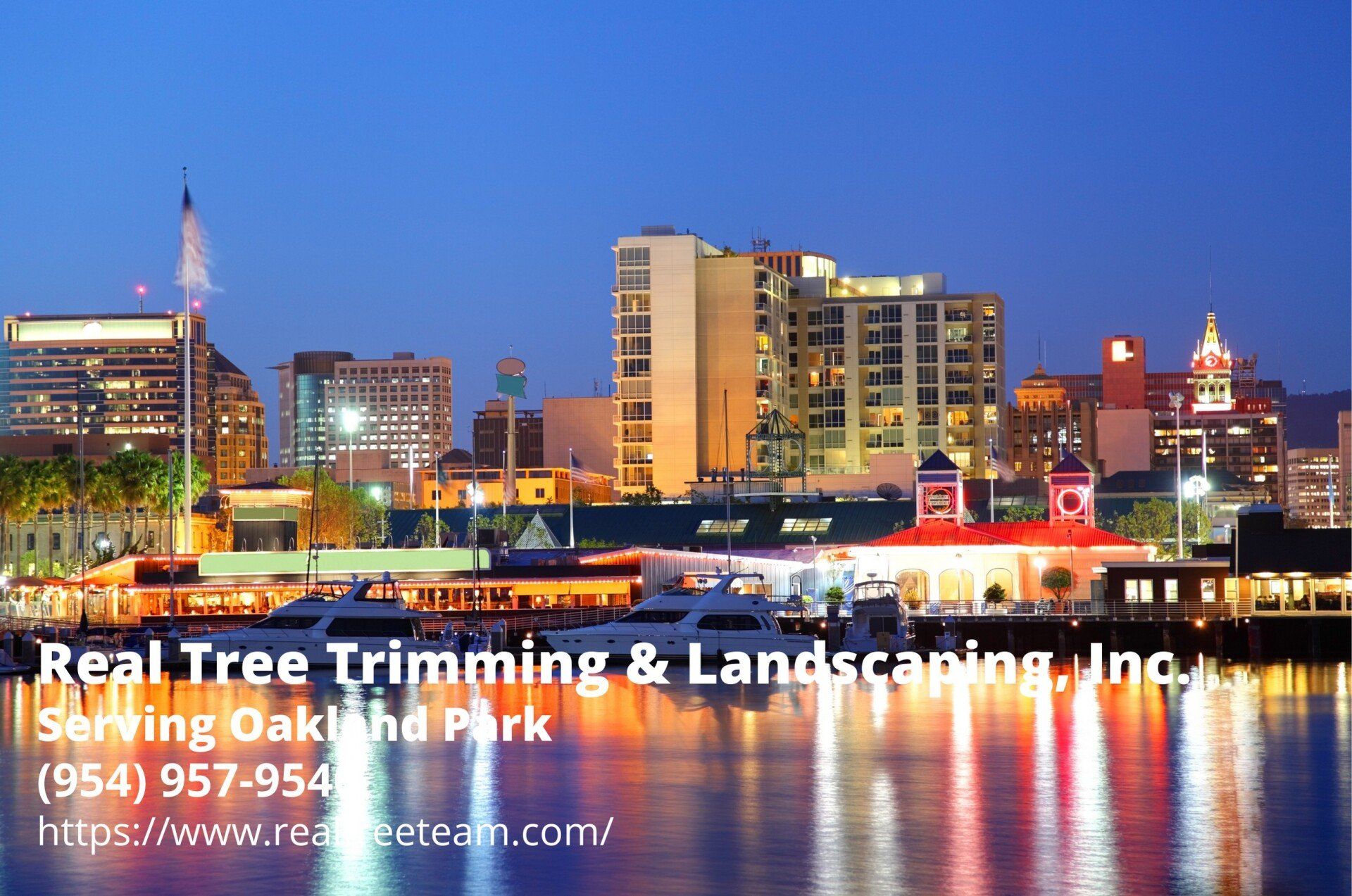 how Oakland Park FL shines at night. text by Real Tree Trimming & Landscaping, Inc.