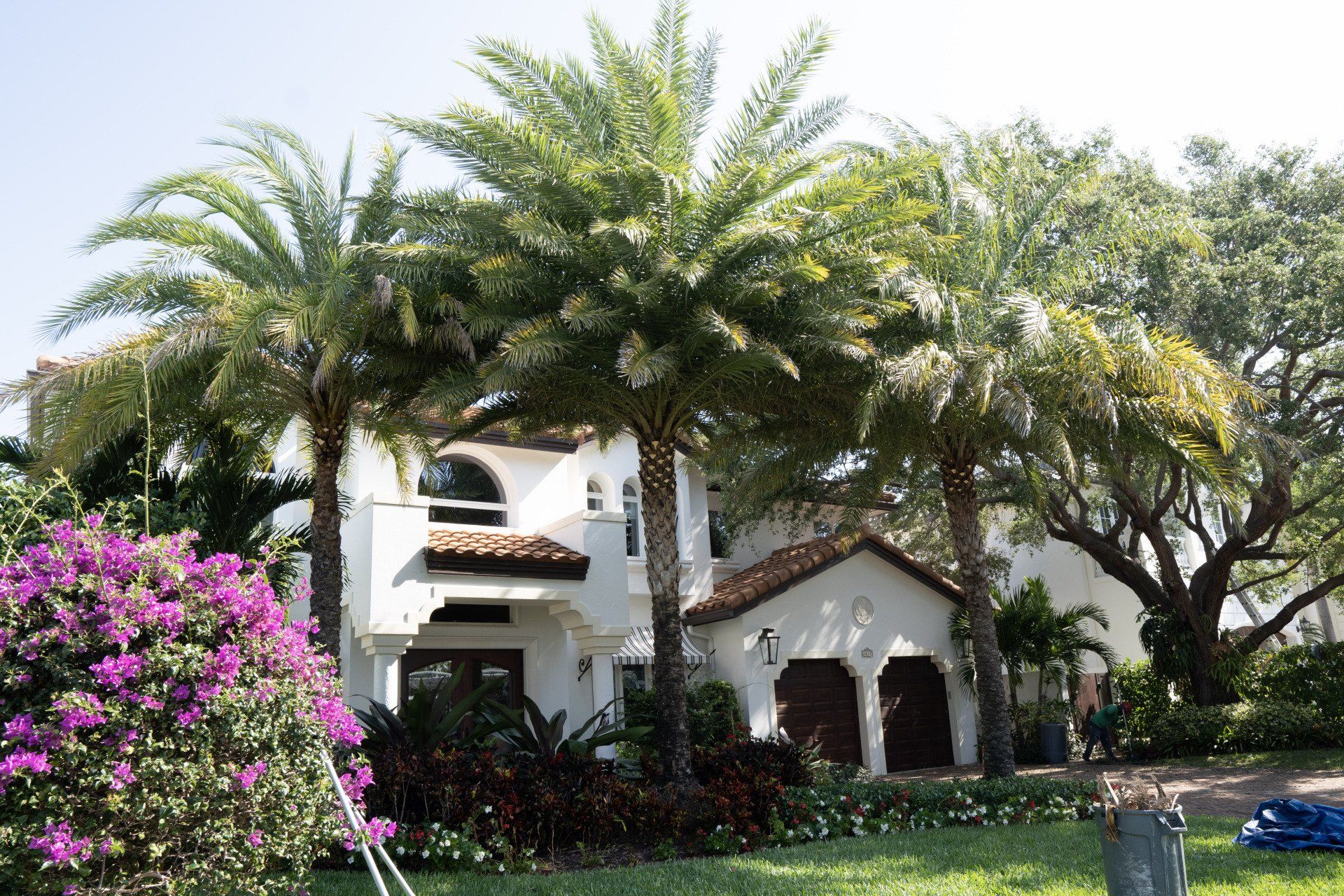 palms in full display in this Lighthouse Point house's entryway