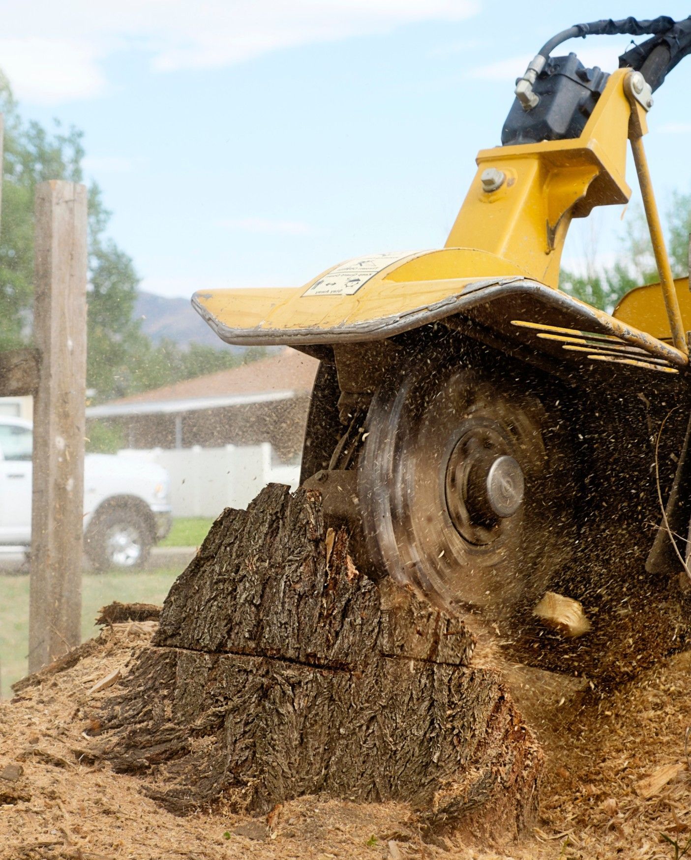 stump grinding being performed in Naples FL