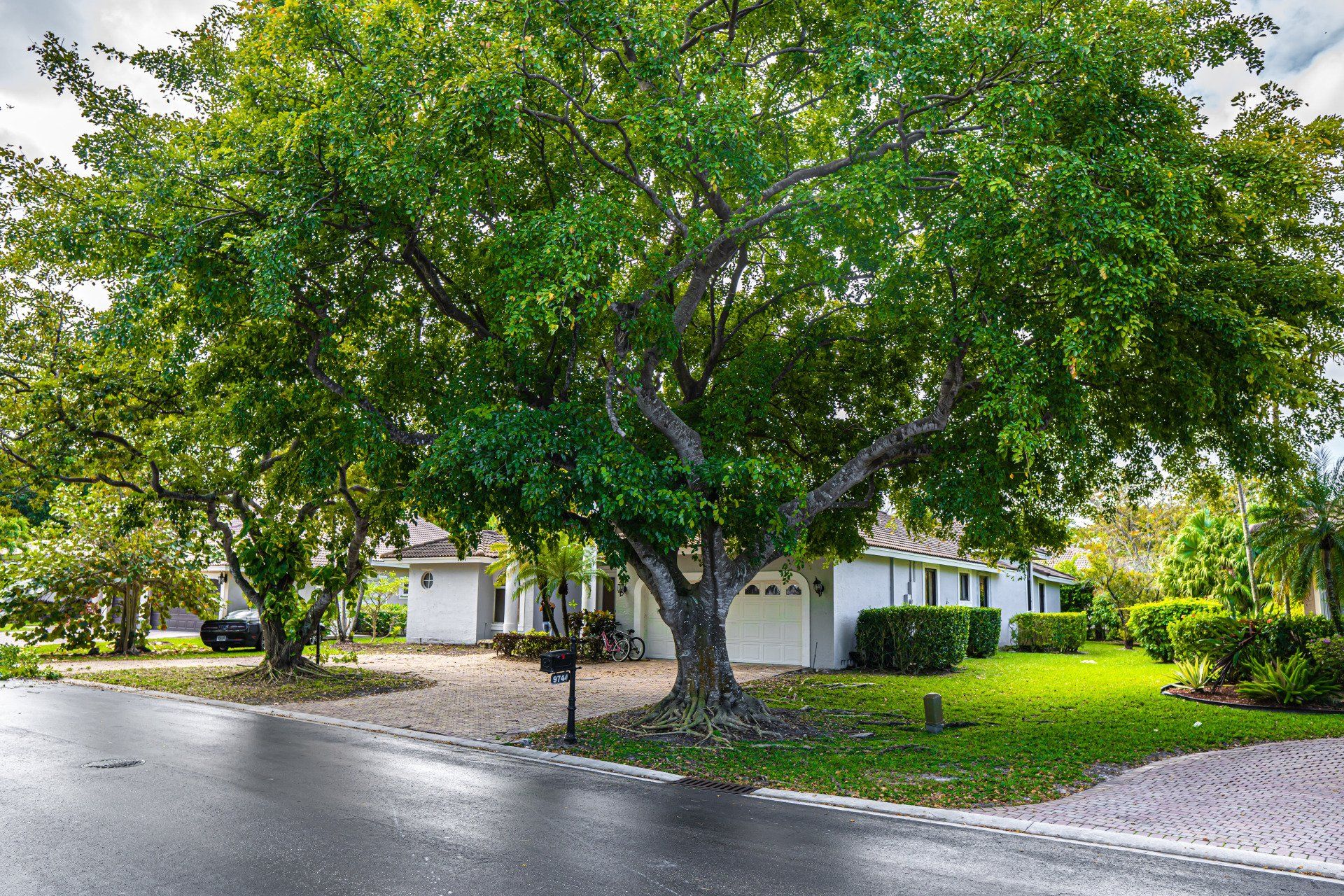 We surveyed the property to determine what needs to be done.