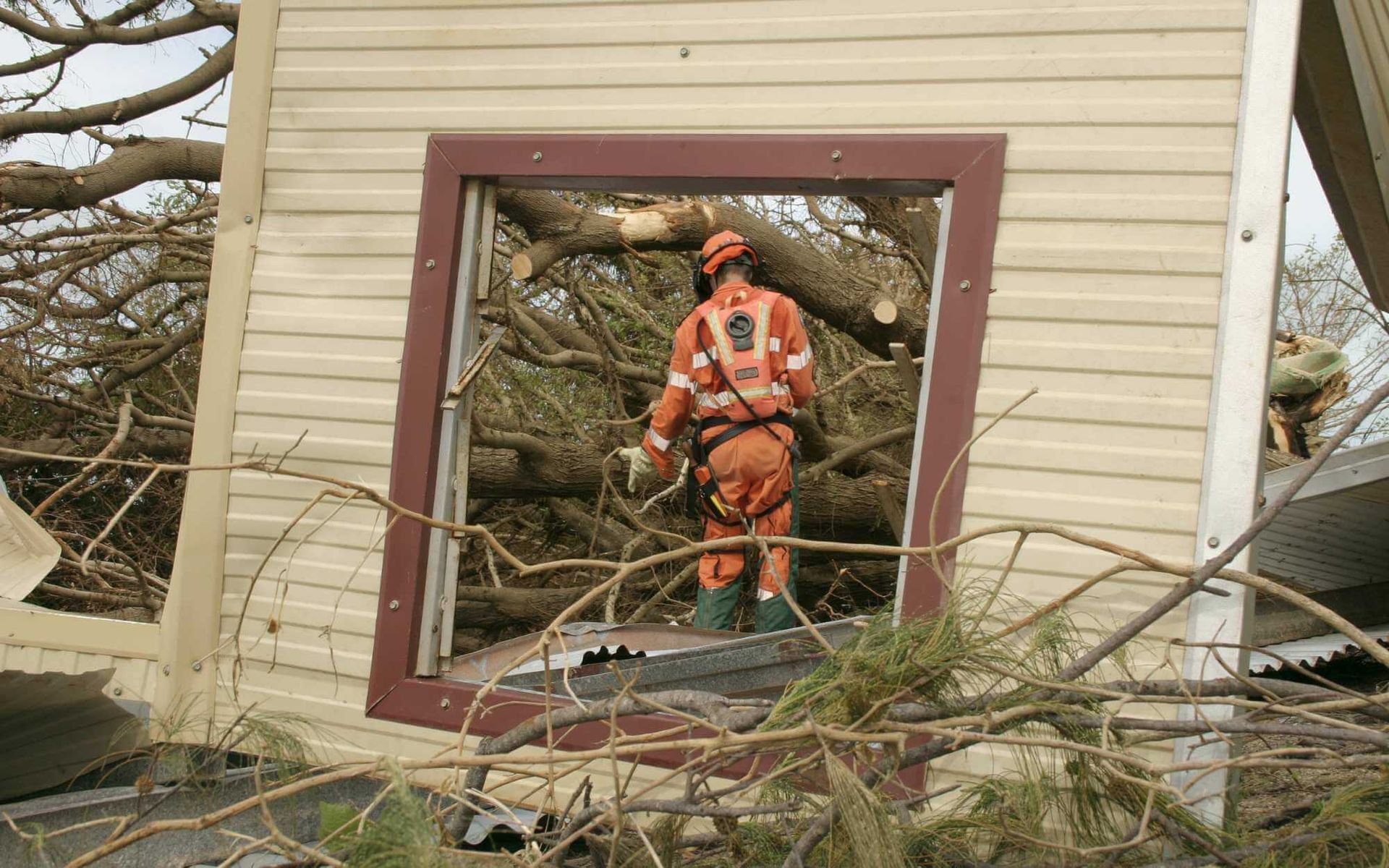 Professional Tree Cleanup for Wind and Storm Damage