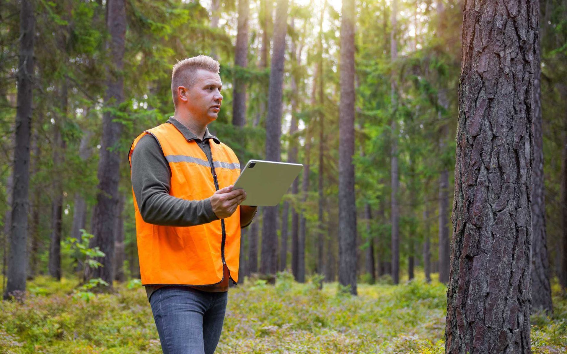 Expert Advice on Construction and Tree Health