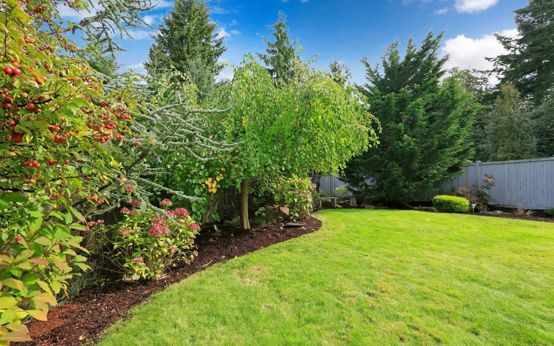 plants and trees make this beautiful backyard in Boca Raton, FL