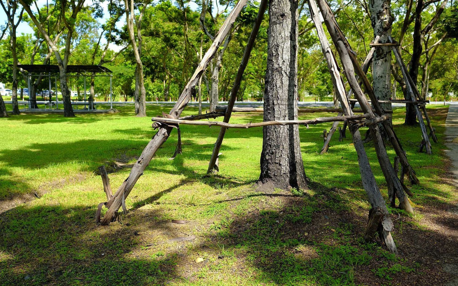 tree bracing in Boca Raton