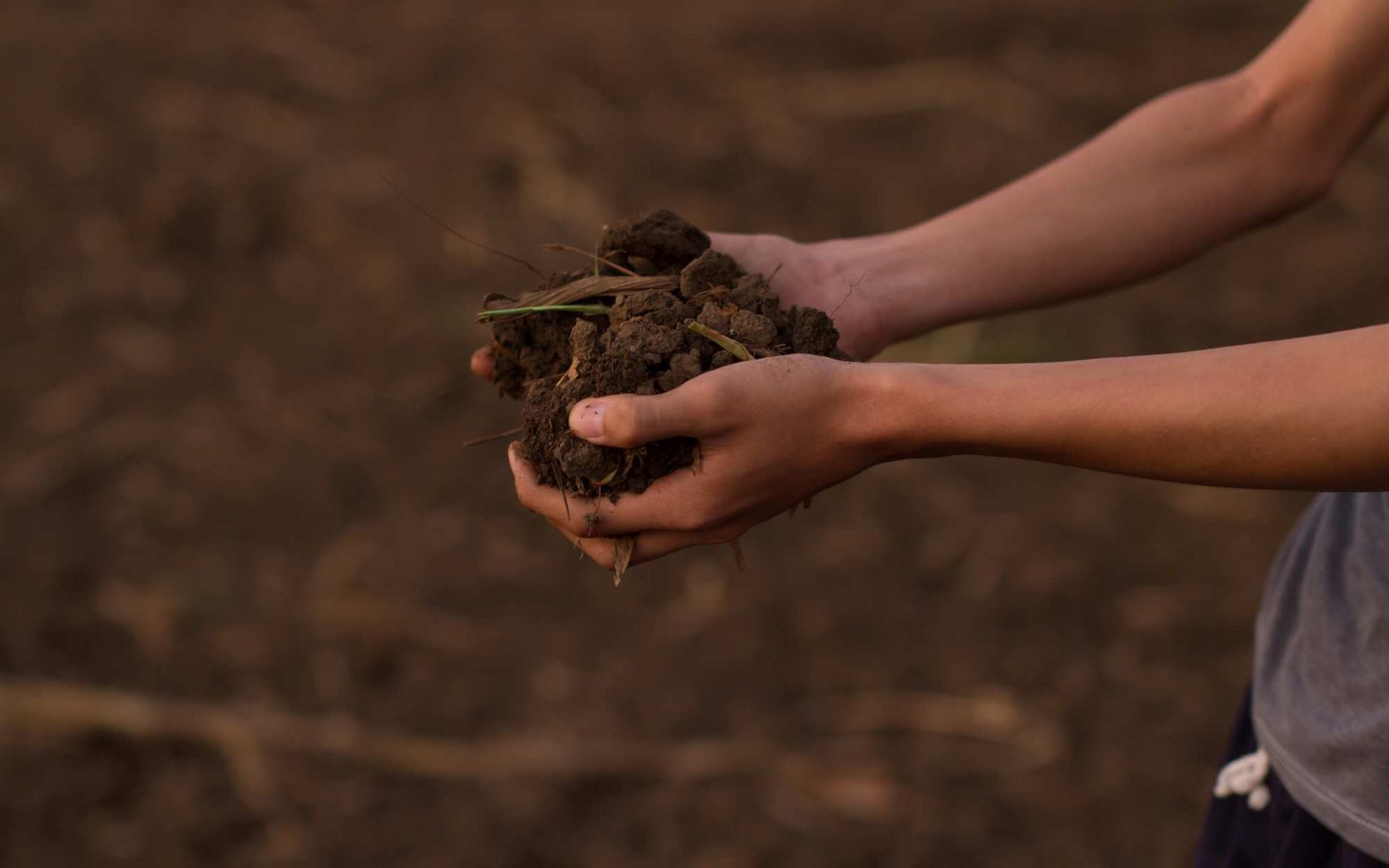 tree owner carrying a compacted soil sampl