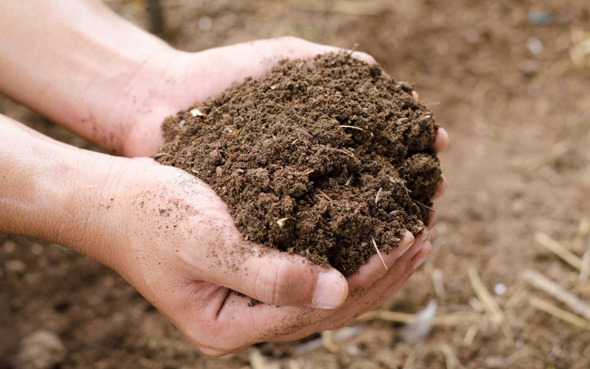 compost fertilizer
