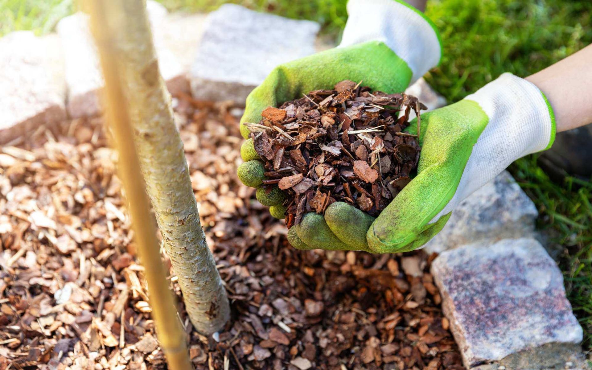 mulching during summer
